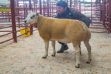 Lot 168 Sold for £1000 from Mrs M Dunlop Corstaine